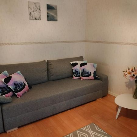 Spacious Apartment With Balcony And Free Wifi Rovaniemi Eksteriør billede
