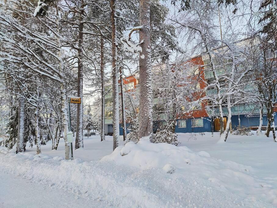 Spacious Apartment With Balcony And Free Wifi Rovaniemi Eksteriør billede